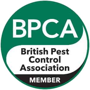 BPCA Member